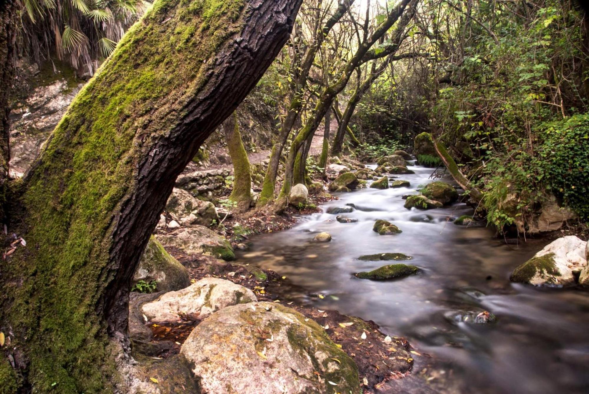 El Refugio Del Emir Apartament El Bosque
